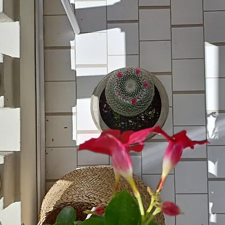 Maison Fleurie-3